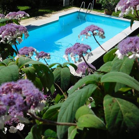 וילאך Four Seasons Apartment "Green Paradise" מראה חיצוני תמונה