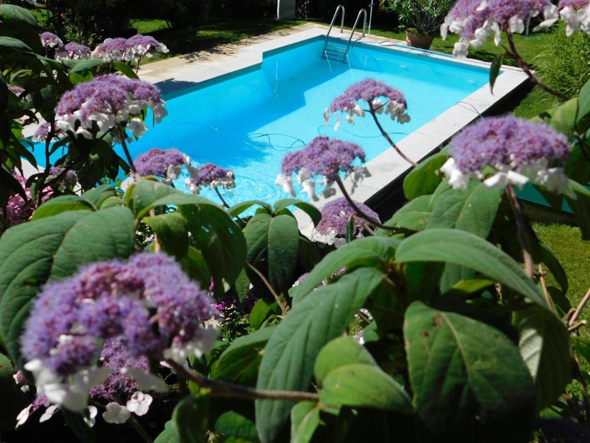 וילאך Four Seasons Apartment "Green Paradise" מראה חיצוני תמונה