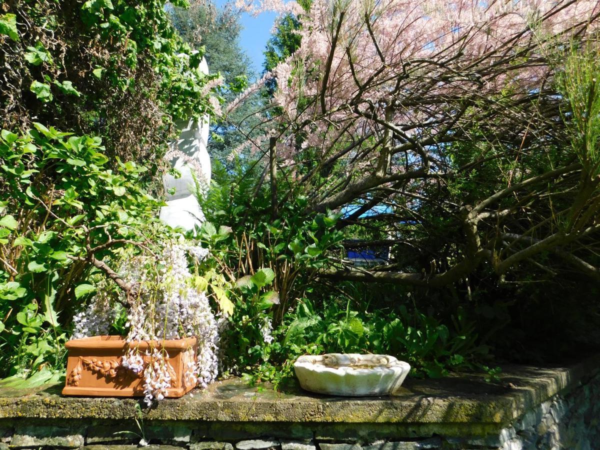 וילאך Four Seasons Apartment "Green Paradise" מראה חיצוני תמונה