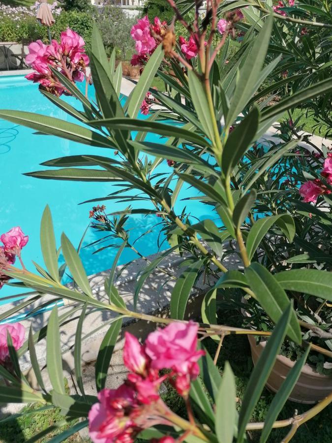 וילאך Four Seasons Apartment "Green Paradise" מראה חיצוני תמונה
